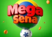 Mega-Sena 2993