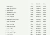R$ 1.050 pelo Caixa Tem