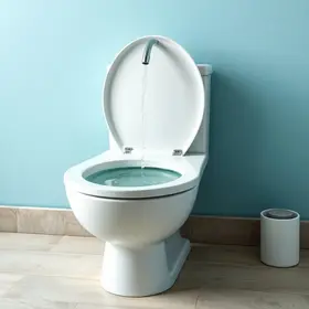 economizar água